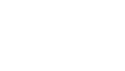 First Dallas Plus logo